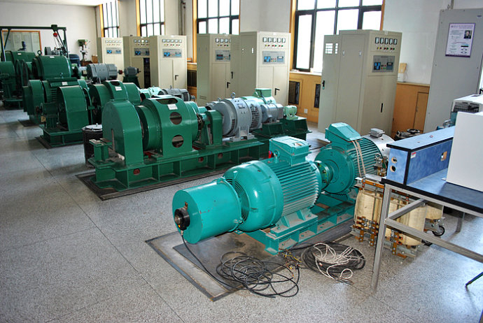 新都某热电厂使用我厂的YKK高压电机提供动力
